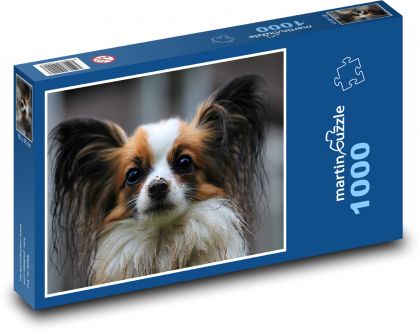 Elegant dog portrait, Papillon - Puzzle 1000 pieces, size 60x46 cm 