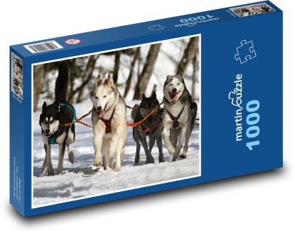 Pes - Husky - Puzzle 1000 dílků, rozměr 60x46 cm
