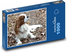 Kavalier in Herbstblättern Puzzle 1000 Teile - 60 x 46 cm