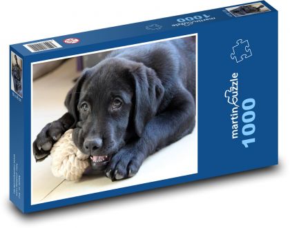 Labrador Welpe mit Spielzeug - Puzzle - 1000 Teile