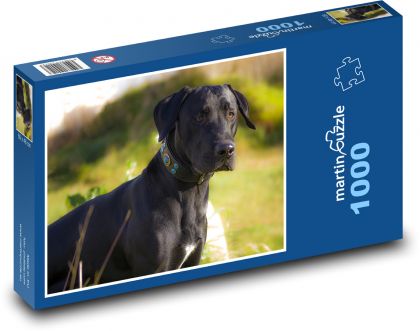 Černý pes na procházce - Puzzle 1000 dílků, rozměr 60x46 cm