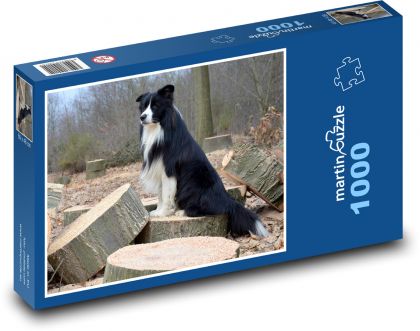 Pes - Puzzle 1000 dílků, rozměr 60x46 cm