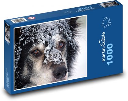 Zasněžený psí obličej - puzzle 1000 dílků