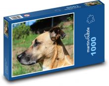 Pes na slnku Puzzle 1000 dielikov - 60 x 46 cm