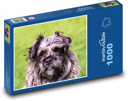 Pes - Puzzle 1000 dielikov, rozmer 60x46 cm