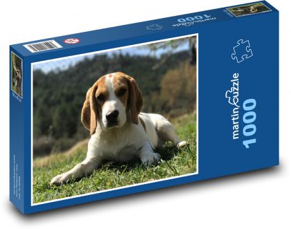 Hund - Puzzle - 1000 Teile