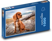 Roztomilé kavalírske šteniatko Puzzle 1000 dielikov - 60 x 46 cm 