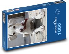 Šteňa labradora na terase Puzzle 1000 dielikov - 60 x 46 cm 
