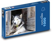 Odpočívajúci husky v chatrči Puzzle 1000 dielikov - 60 x 46 cm 