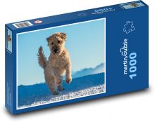 Bežiaci pes v snehu, Goldendoodle Puzzle 1000 dielikov - 60 x 46 cm 