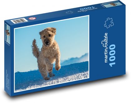 Bežiaci pes v snehu, Goldendoodle - Puzzle 1000 dielikov, rozmer 60x46 cm