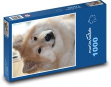 Roztomilý chlupatý pes Puzzle 1000 dílků - 60 x 46 cm