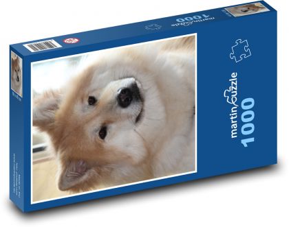 Roztomilý chlupatý pes - puzzle 1000 dílků