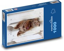 Jorkšírský teriér s vypláznutým jazykem - pes Puzzle 1000 dílků - 60 x 46 cm