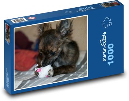 Hravý pejsek s hračkou, čivava - puzzle 1000 dílků