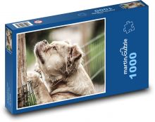 Zamyšlený pes u plotu Puzzle 1000 dílků - 60 x 46 cm