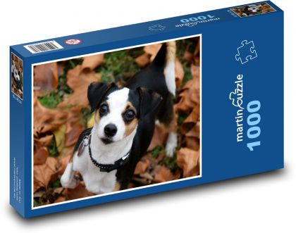 Dog - Puzzle 1000 pieces, size 60x46 cm 