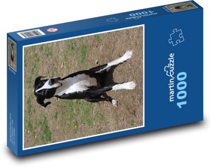 Pes kamarád připraven vyrazit - puzzle 1000 dílků