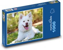 Zadowolony przyjaciel psa Puzzle 1000 elementów - 60x46 cm