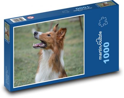 Dog - Collie - Puzzle 1000 pieces, size 60x46 cm 