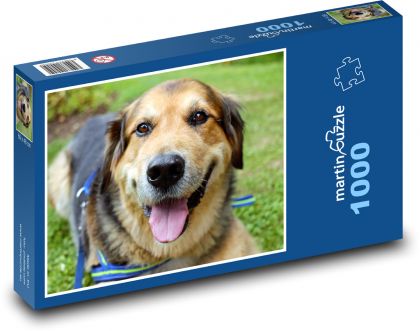 Dog Smile - Puzzle 1000 pieces, size 60x46 cm 