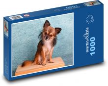Dog Model, Chihuahua Puzzle 1000 pieces - 60 x 46 cm 