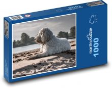 Letné rozjímanie pri vode, pes Goldendoodle Puzzle 1000 dielikov - 60 x 46 cm