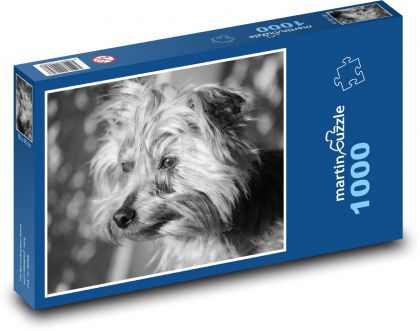 Dog portrait in the wind - Puzzle 1000 pieces, size 60x46 cm 