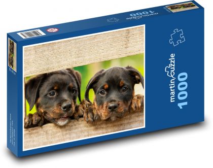Pies Rottweiler - Puzzle 1000 elementów, rozmiar 60x46 cm
