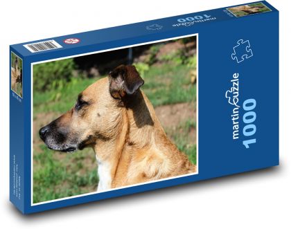 Pes čekající na povel - Puzzle 1000 dílků, rozměr 60x46 cm