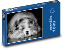 Dziecko śpiącego psa Puzzle 1000 elementów - 60x46 cm