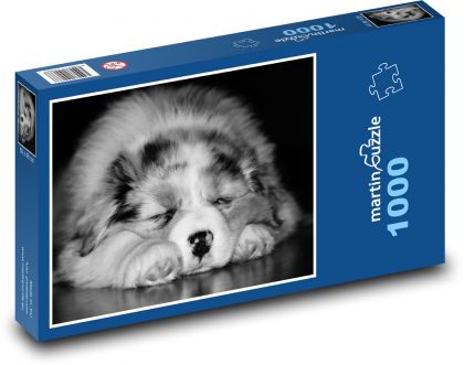 Dziecko śpiącego psa - Puzzle 1000 elementów, rozmiar 60x46 cm