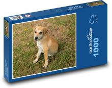 Mały piesek w trawie Puzzle 1000 elementów - 60x46 cm