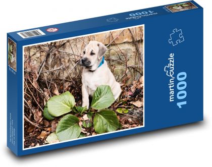 Mały badacz psów - Puzzle 1000 elementów, rozmiar 60x46 cm