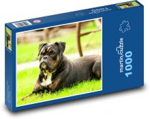 Pes, strážca záhrady Puzzle 1000 dielikov - 60 x 46 cm 