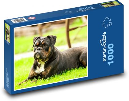 Pes, strážca záhrady - Puzzle 1000 dielikov, rozmer 60x46 cm