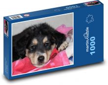 Spící štěně v růžové dece Puzzle 1000 dílků - 60 x 46 cm