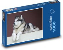 Pies Alaskan alaskański Puzzle 1000 elementów - 60x46 cm