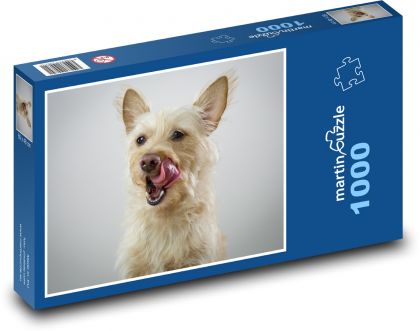 Szczęśliwy biały swashbuckler z dużym językiem - Puzzle 1000 elementów, rozmiar 60x46 cm