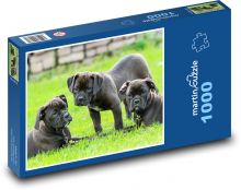 Trzy szczeniaki i jedna wielka przygoda Puzzle 1000 elementów - 60x46 cm