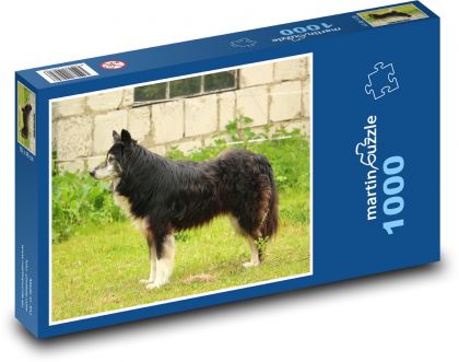 Pes - Puzzle 1000 dílků, rozměr 60x46 cm