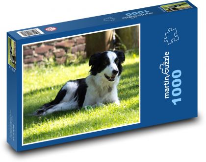 Letní pohoda se psem - puzzle 1000 dílků