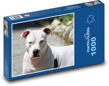 Bílý strážce, pitbull  Puzzle 1000 dílků - 60 x 46 cm