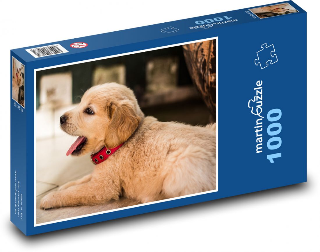 Golden retriever puzzle 1000 Clearance