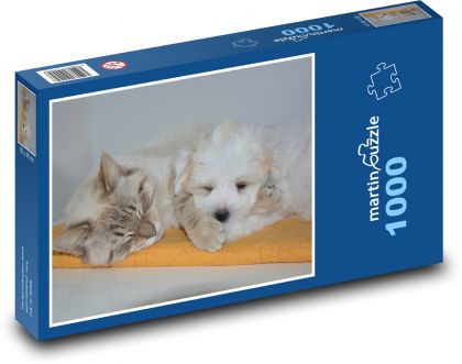 Kočka a pes - Puzzle 1000 dílků, rozměr 60x46 cm