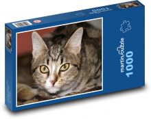 Mačka Puzzle 1000 dielikov - 60 x 46 cm 