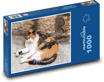 Ležící tříbarevná kočka u zdi - puzzle 1000 dílků
