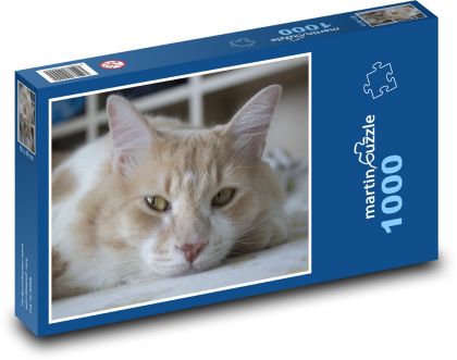 Odpočívajúca mačka - Puzzle 1000 dielikov, rozmer 60x46 cm