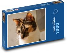 Mačka Puzzle 1000 dielikov - 60 x 46 cm
