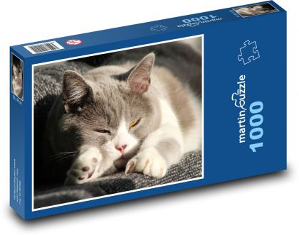 Ospalá šedobílá kočka - puzzle 1000 dílků